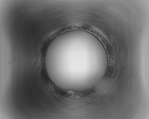 X0000101410773200807211055