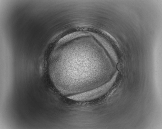 X0000101410775200807211055