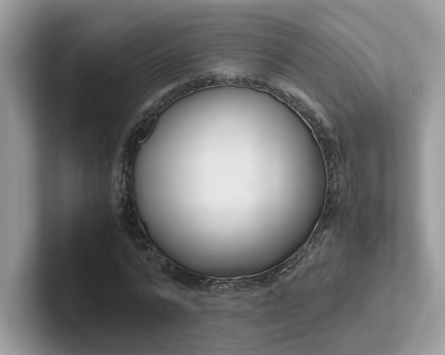 X0000101410776200807211055