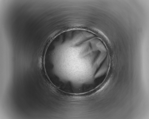 X0000101410777200807211055