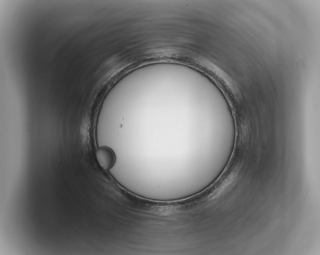 X0000101410778200807211054