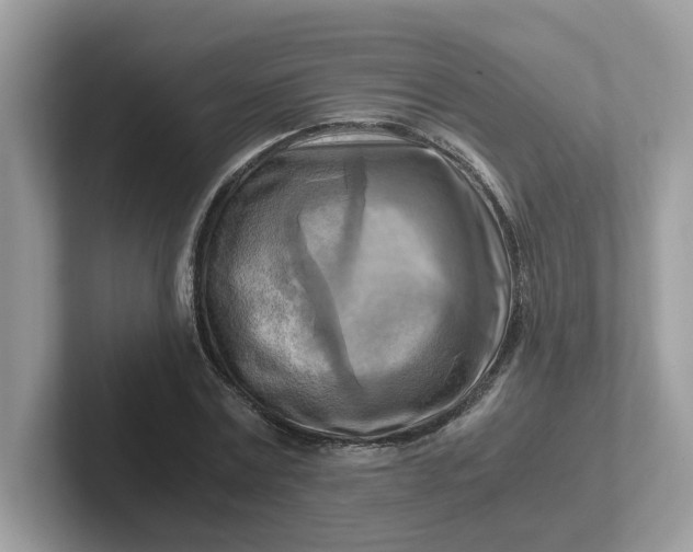 X0000101410779200807211054