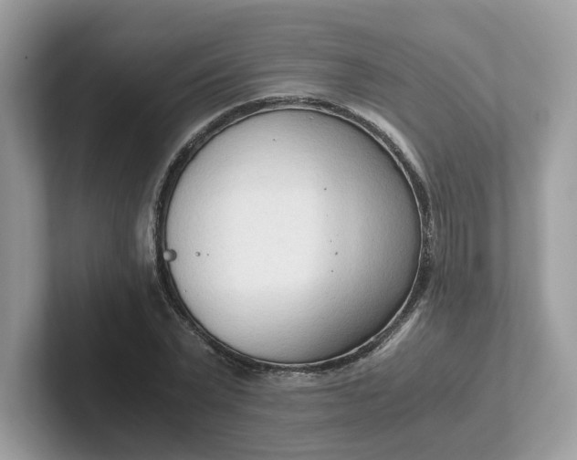 X0000101410783200807211054