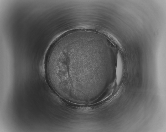 X0000101410784200807211054