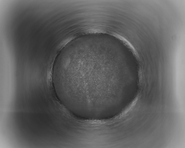 X0000101410785200807211054