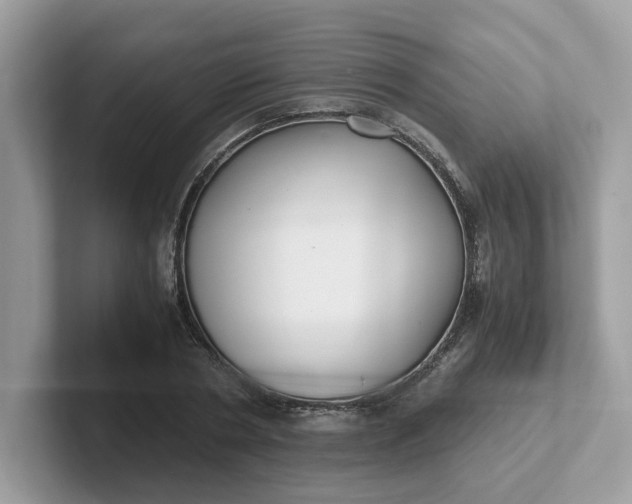 X0000101410786200807211054