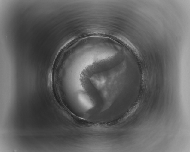 X0000101410790200807211054