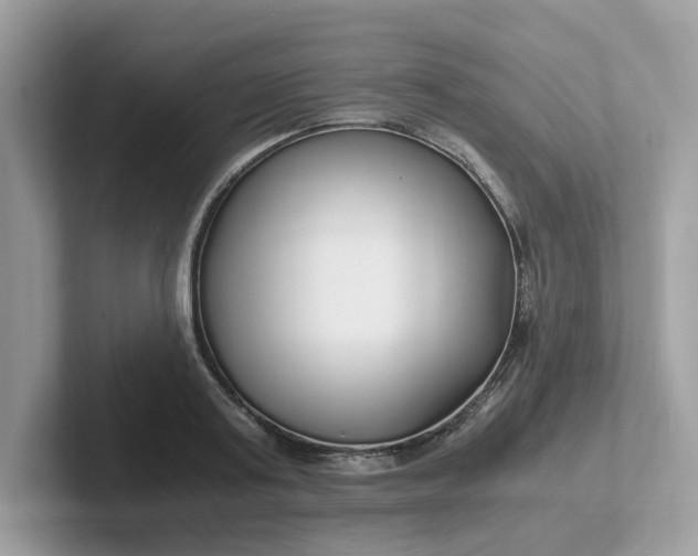 X0000101410795200807211054