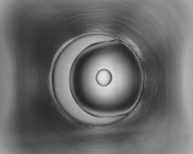 X0000101410796200807211054