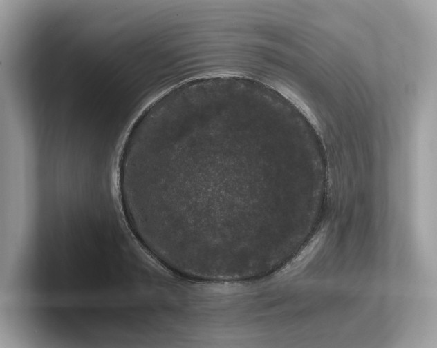 X0000101410797200807211054