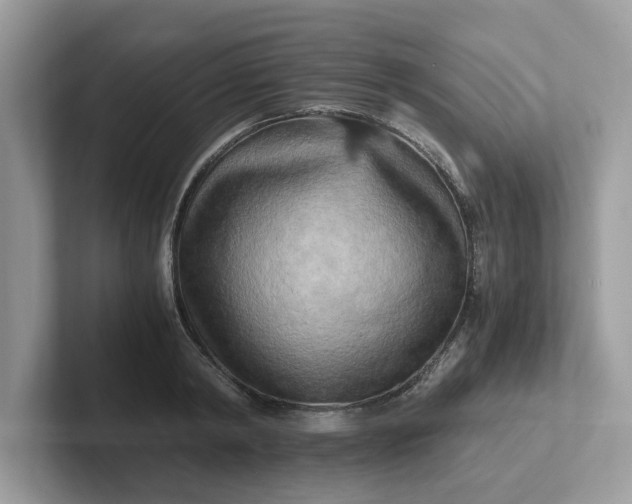 X0000101410798200807211054