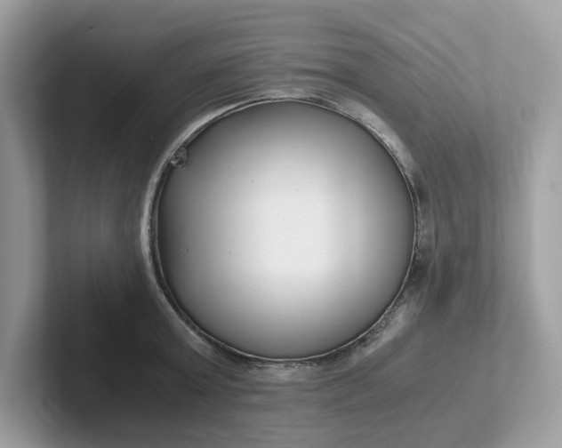 X0000101410803200807211054