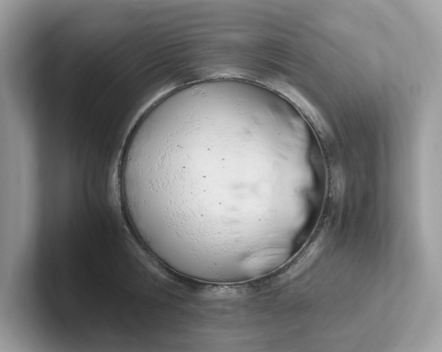 X0000101410806200807211054