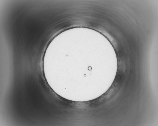 X0000101410807200807211054