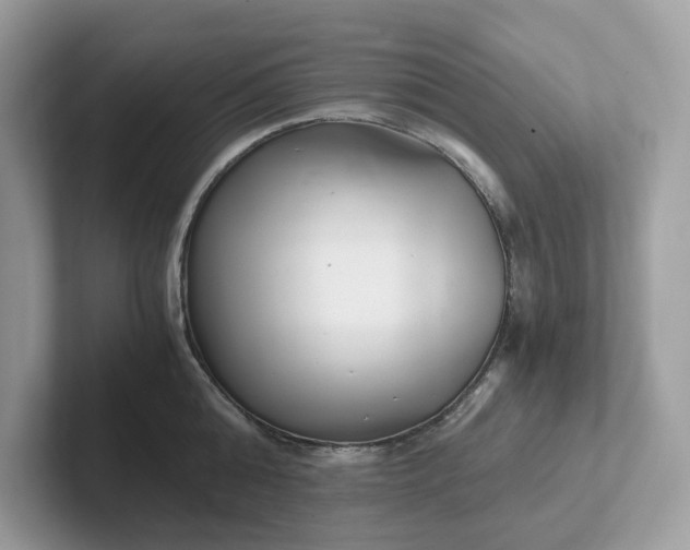 X0000101410808200807211054