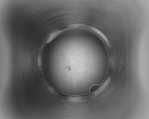 X0000101410809200807211054