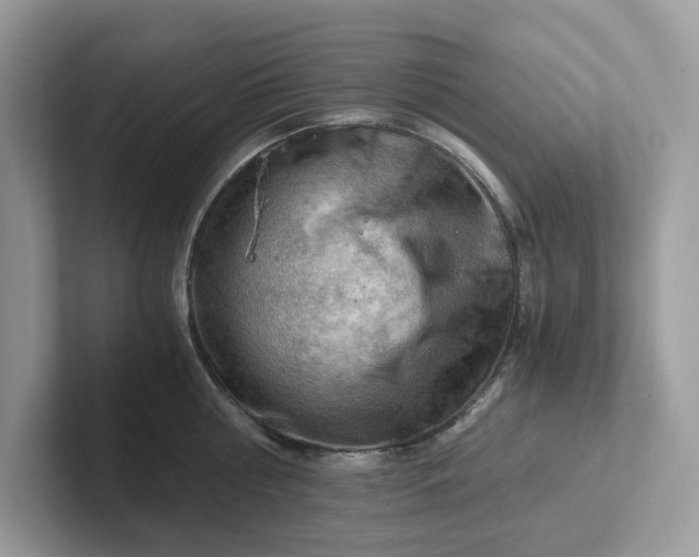 X0000101410810200807211054