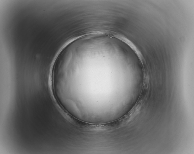 X0000101410811200807211054