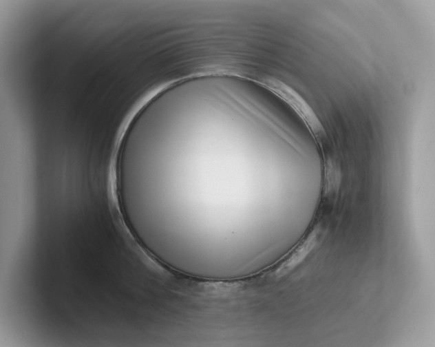 X0000101410812200807211054