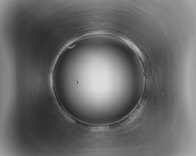 X0000101410813200807211054