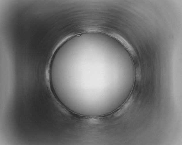 X0000101410814200807211054