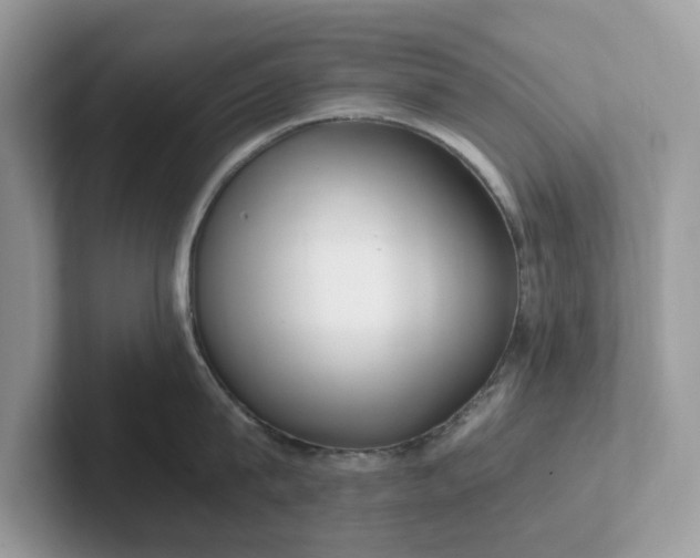 X0000101410815200807211054