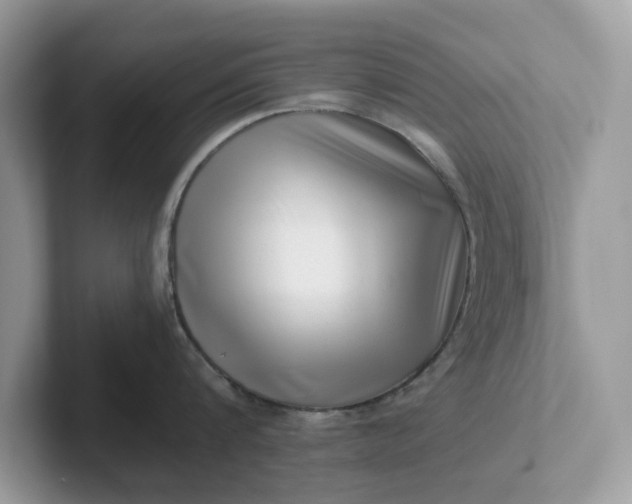 X0000101410816200807211054