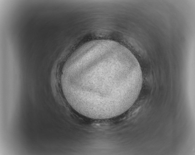 X0000101410817200807211053