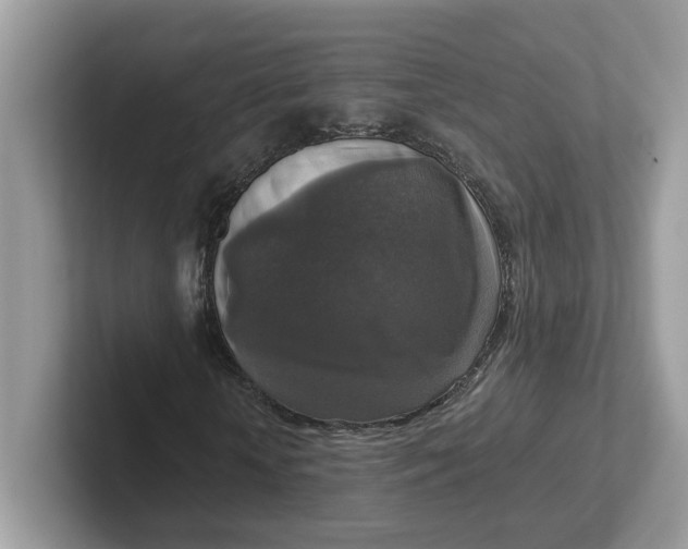 X0000101410818200807211053