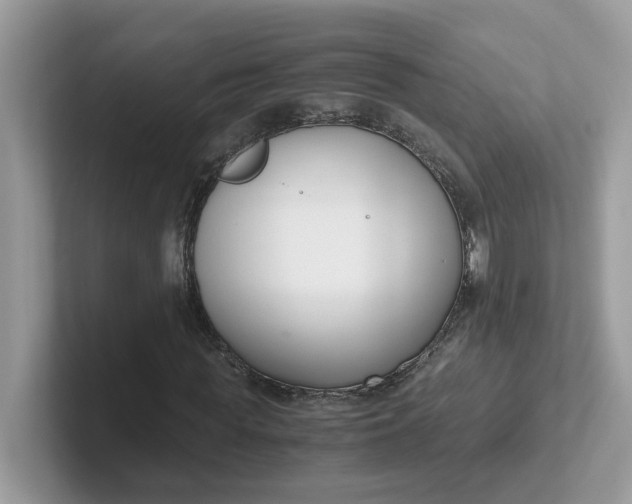 X0000101410819200807211053