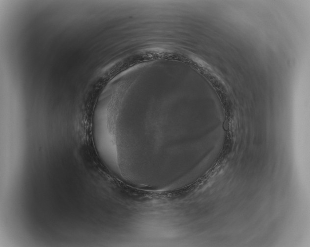 X0000101410822200807211053