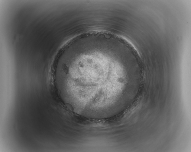 X0000101410823200807211053