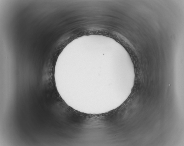 X0000101410824200807211053