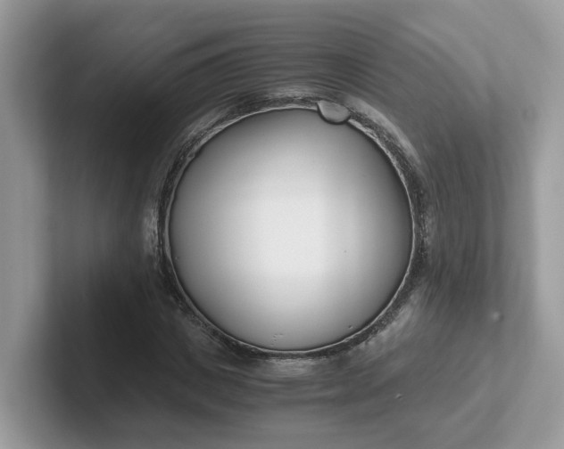 X0000101410825200807211053