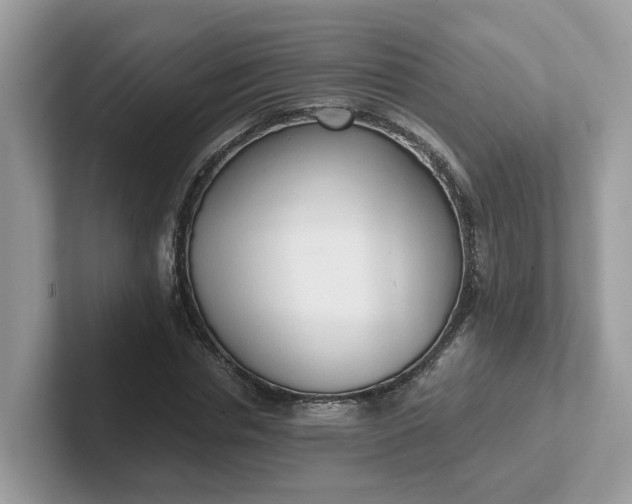 X0000101410826200807211053