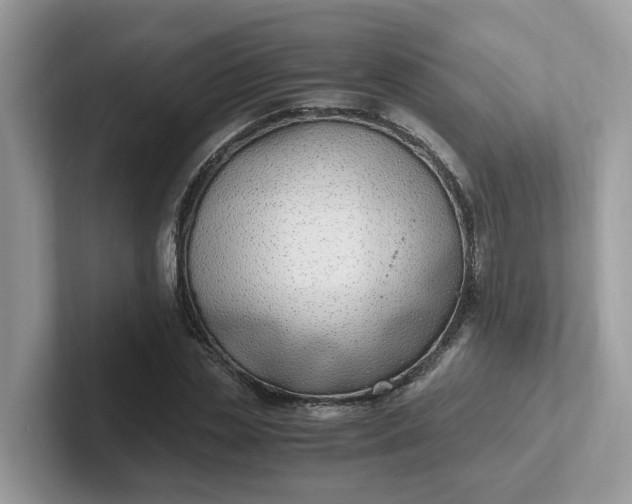 X0000101410829200807211053