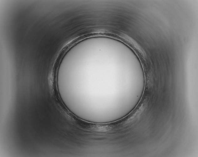 X0000101410831200807211053