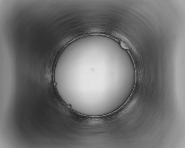 X0000101410833200807211054