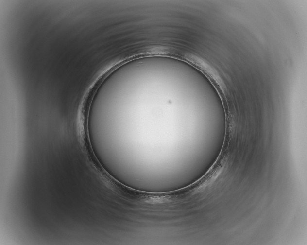 X0000101410835200807211054