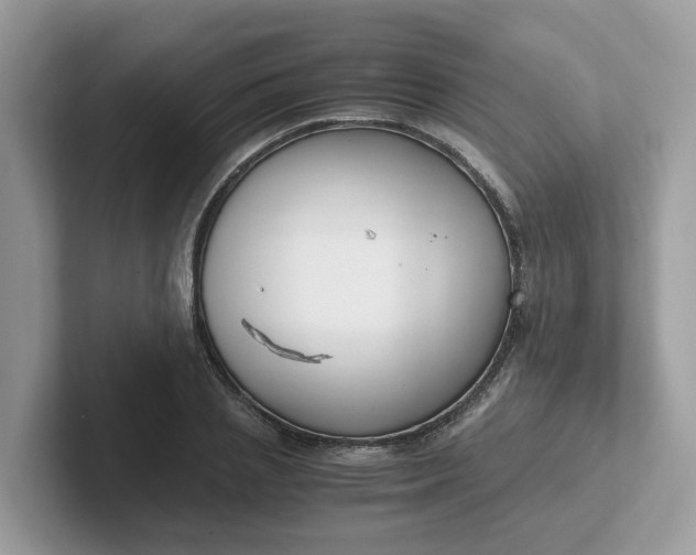 X0000101410837200807211054