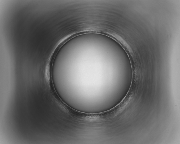 X0000101410838200807211054