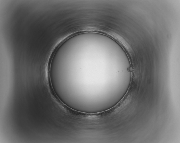 X0000101410839200807211054