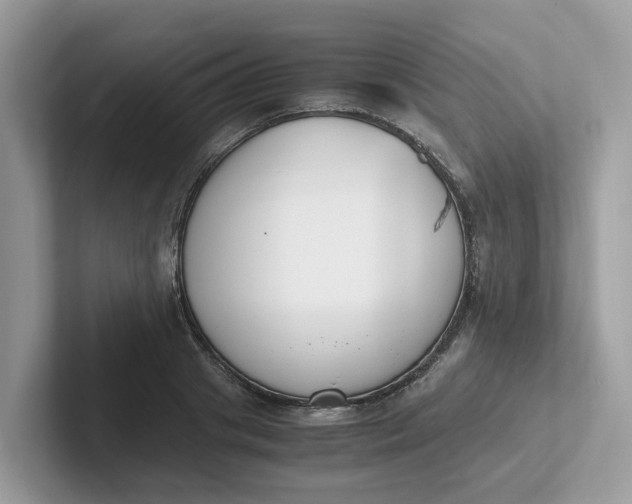 X0000101410841200807211054