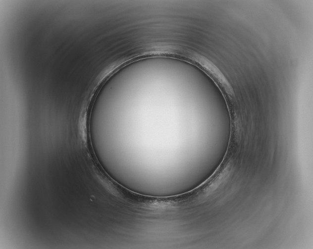 X0000101410842200807211054