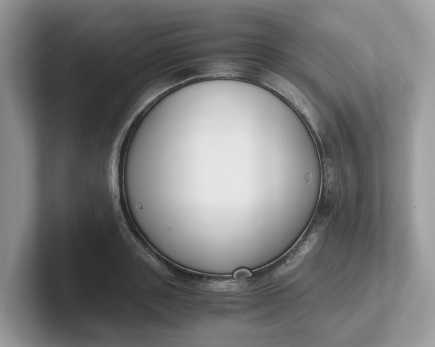 X0000101410843200807211054