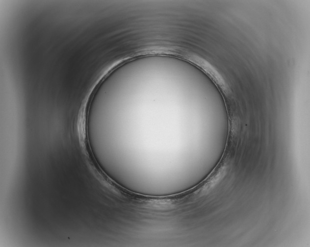 X0000101410844200807211054