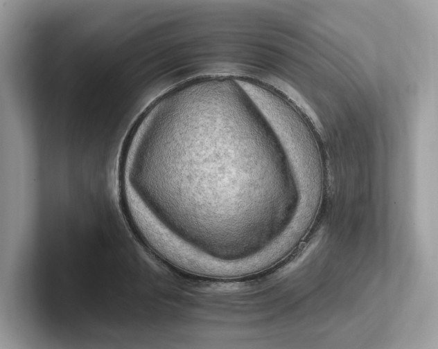 X0000101410845200807211054