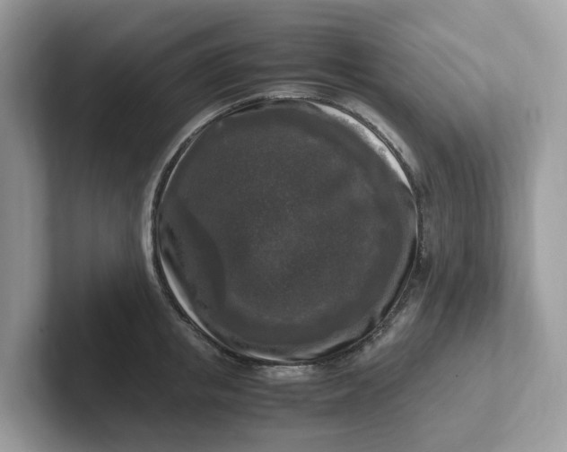 X0000101410853200807211054