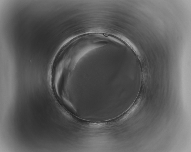 X0000101410854200807211054