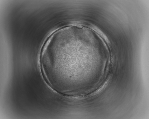 X0000101410855200807211054